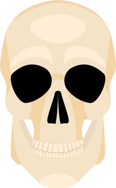 图标的人类头骨图片下载