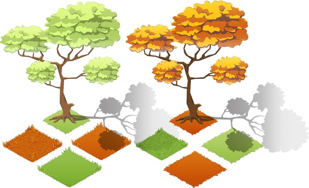 等距植物森林收集集秋天的树图片下载