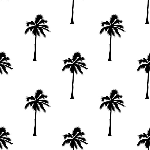棕榈树图案无缝纹理上白色图片下载