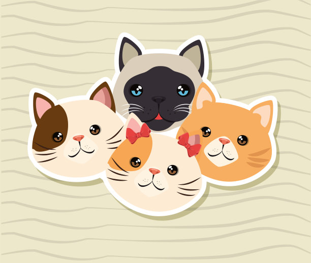 可爱的猫和宠物友好图片下载