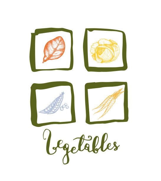 健康素食食物手绘图标集图片下载