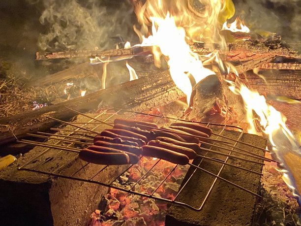 香肠在篝火图片下载