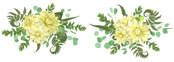 一套秋季花束与黄色的大丽花蕨类图片下载