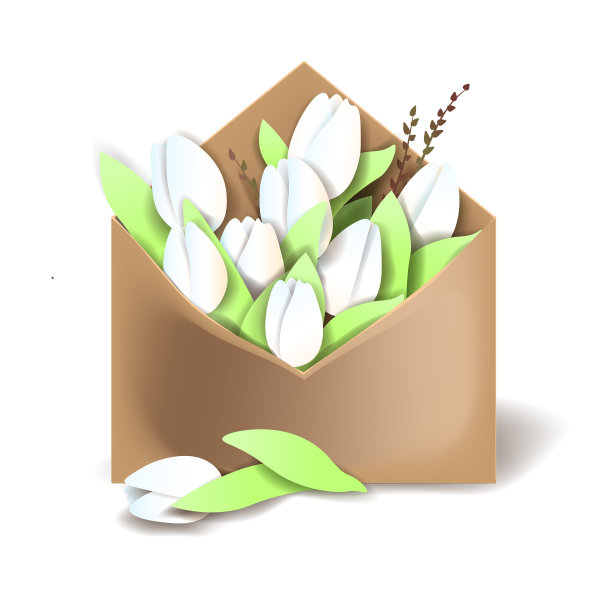 白色的郁金香装在信封里图片下载