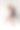 运动女孩在工作室里以白色背景摆姿势图片下载