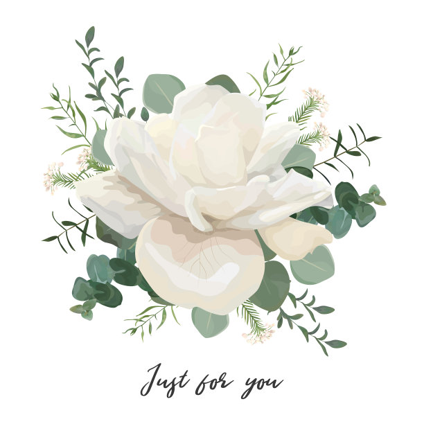 花卡片设计与白玫瑰和桉树图片下载