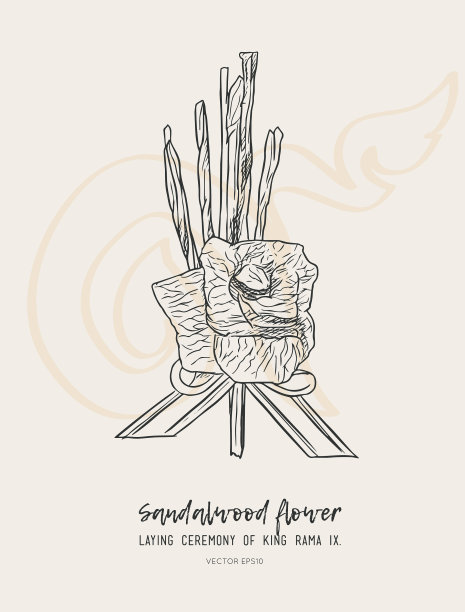 檀香花为王素描图片下载