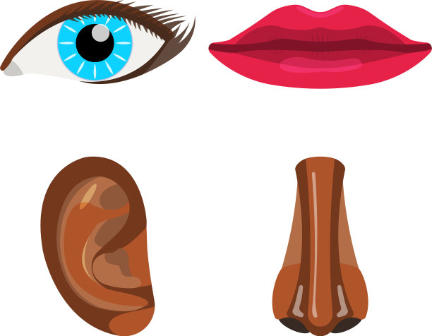 套装女性身体部分脸身体图标标签图片下载