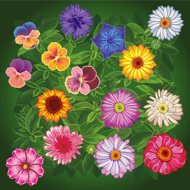 设置野花俯视图图片下载