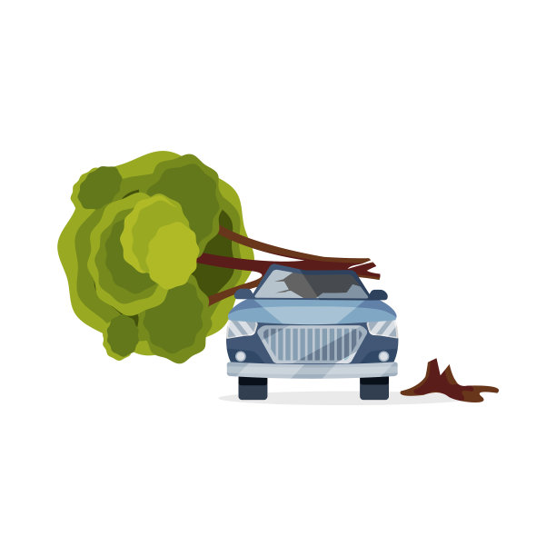 被倒下的树毁坏的汽车蓝色的汽车图片下载