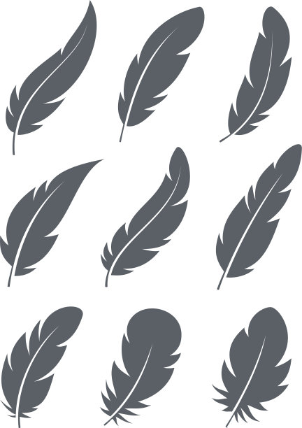 羽毛图标设置图片下载