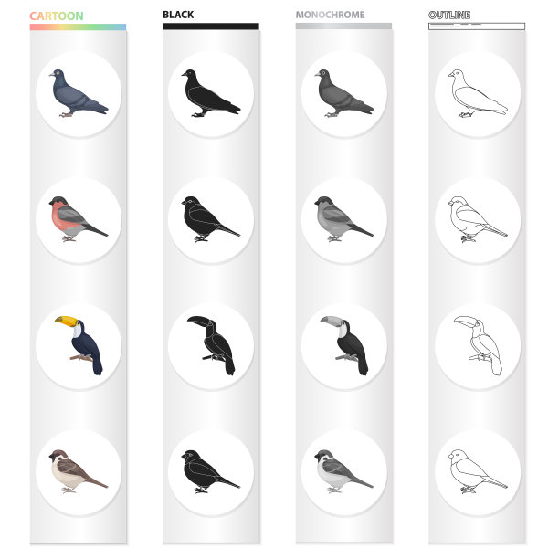 鸽子，红腹灰雀，热带鸟，杜坎鸟图片下载