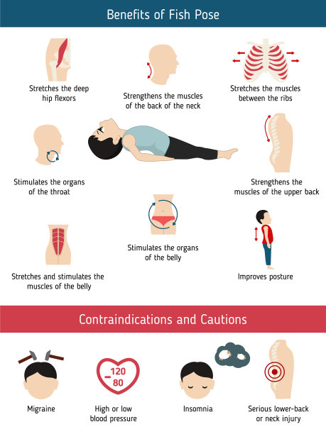 瑜伽姿势信息图瑜伽姿势信息图图片下载