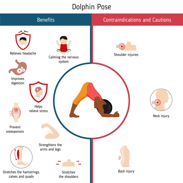 瑜伽姿势信息图瑜伽姿势信息图图片下载