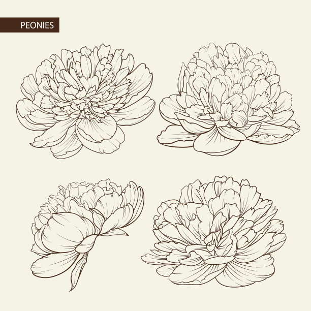 套牡丹花元素图片下载