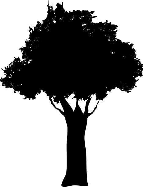 树的剪影，树枝，树干，树叶的形象图片下载