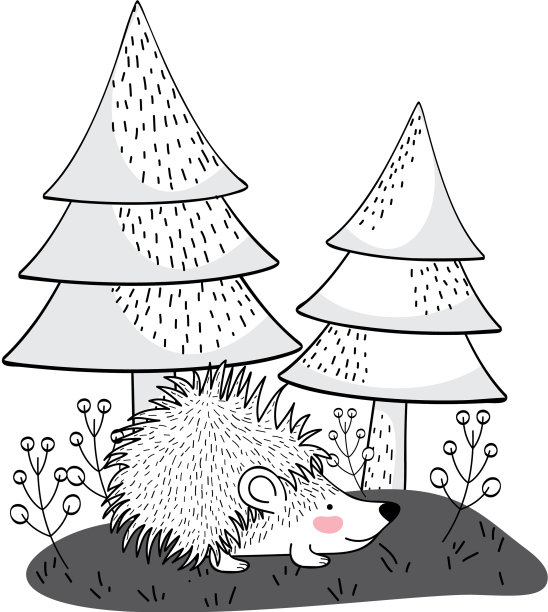 豪猪动物图图片下载