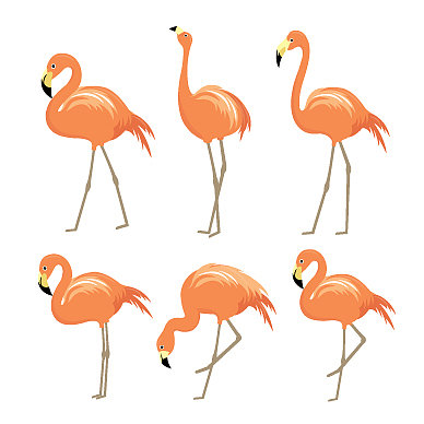 粉红色的火烈鸟动物卡通鸟图片下载