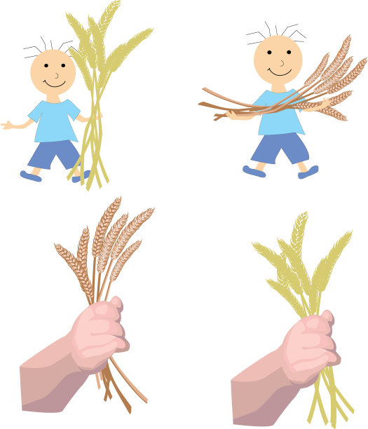 男孩手里拿着麦穗图片下载