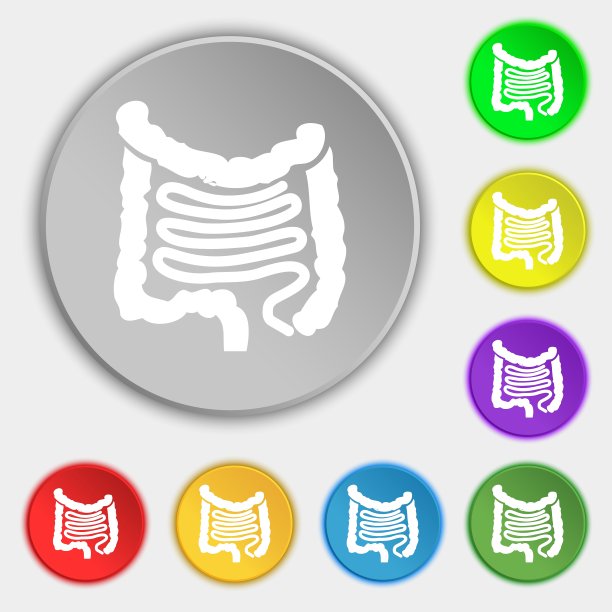 肠道图标标志符号上的八个扁平按钮图片下载