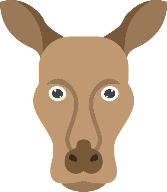 袋鼠的脸图片下载