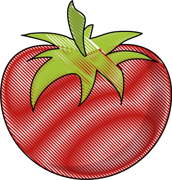 西红柿新鲜蔬菜图片下载