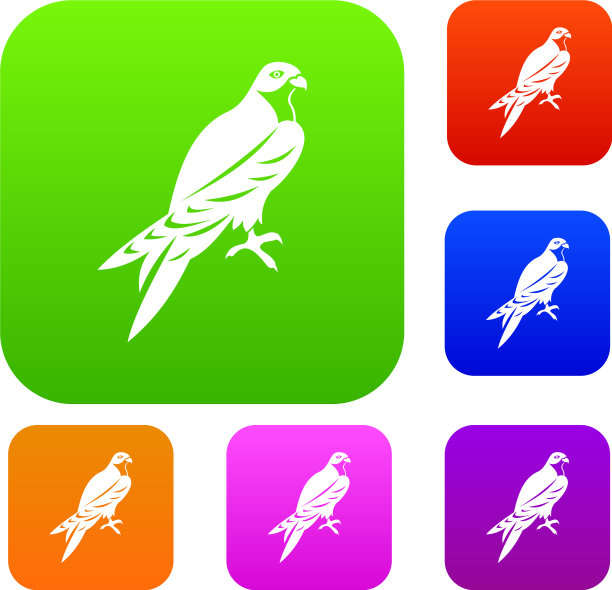 猎鹰集合图片下载