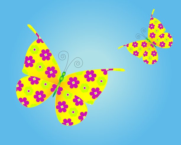 蝴蝶预览图片下载