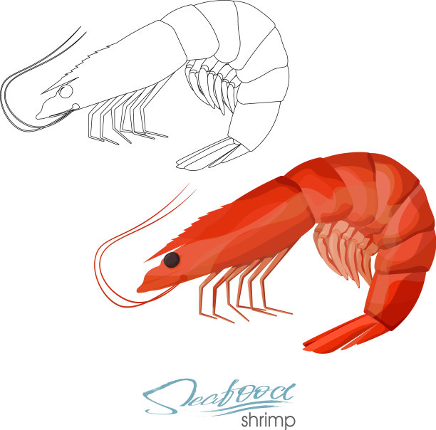 卡通风格的虾图片下载