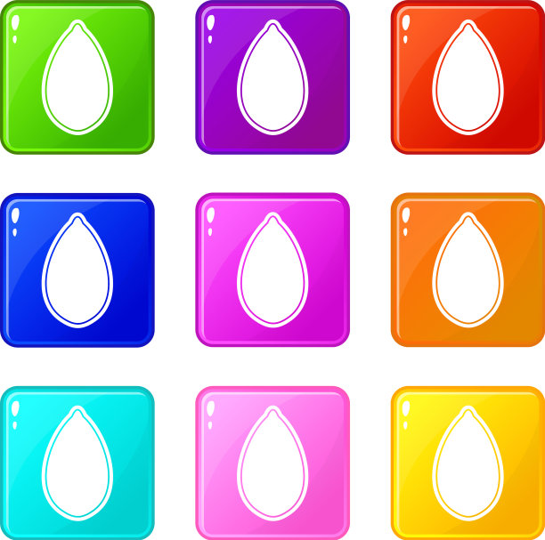 南瓜子9号图片下载