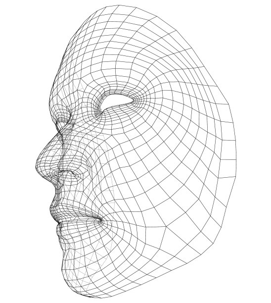 线框抽象人脸图片下载