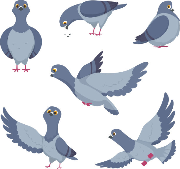 卡通的一组有趣的鸽子图片下载