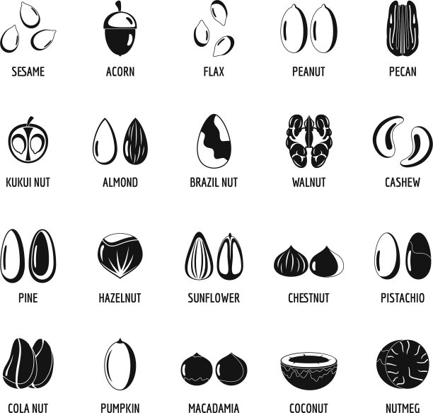 带有签名名称的螺母类型图标设置简单的风格图片下载