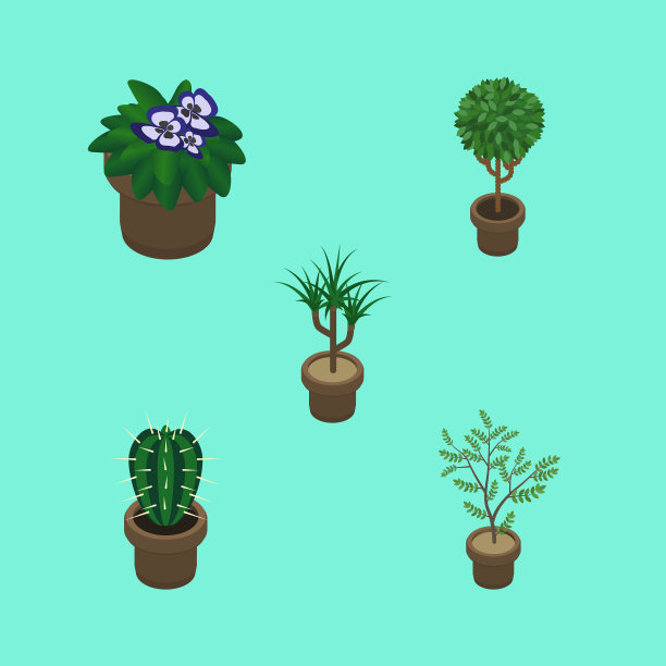 等距植物套佩奥特蕨类花盆和图片下载