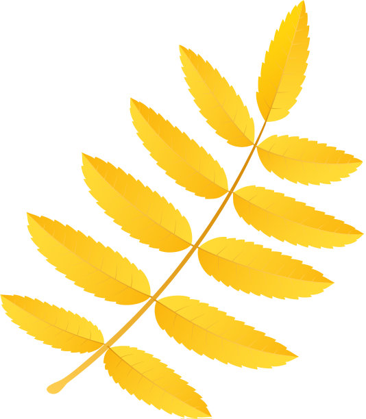 黄花叶图标平风格图片下载