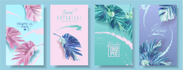 条幅，热带恶果叶图片下载