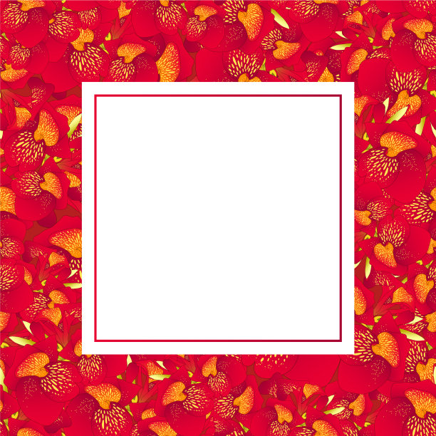 红色美人蕉百合横幅卡片图片下载