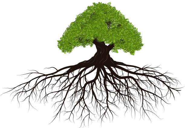 有根的大树图片下载