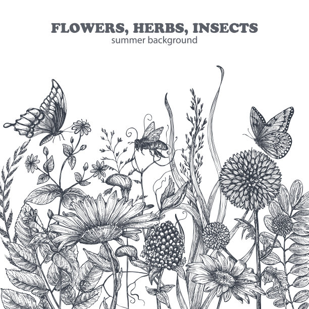 花卉无缝图案与手绘罂粟图片下载