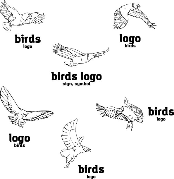 手绘铅笔图形鸟类的猎物集图片下载