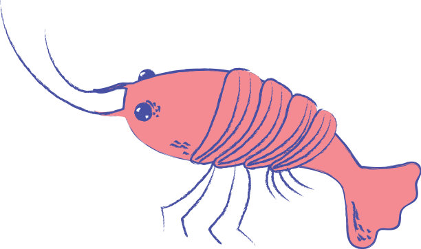 海鲜龙虾餐配天然食材图片下载