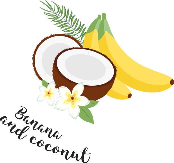 有趣的水果集香蕉椰子和树叶集图片下载