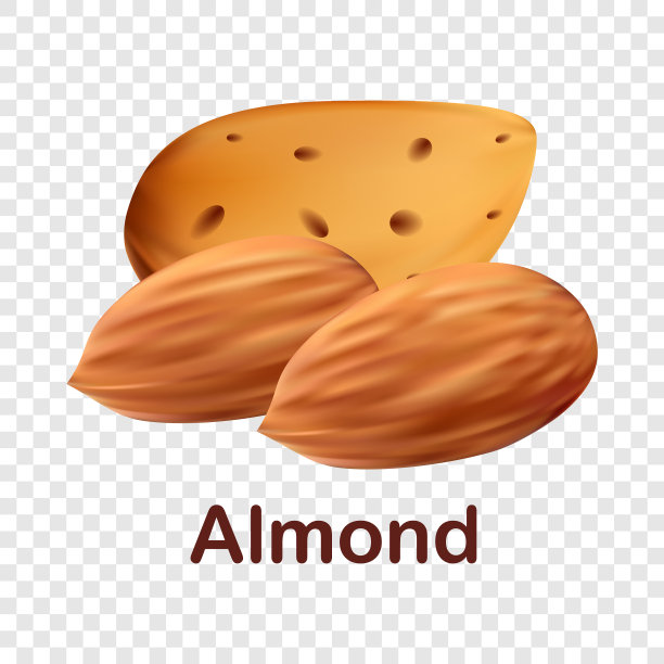 杏仁图标写实风格图片下载