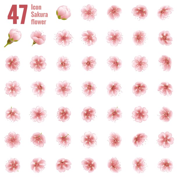樱花樱花图标集47朵EPS 10图片下载