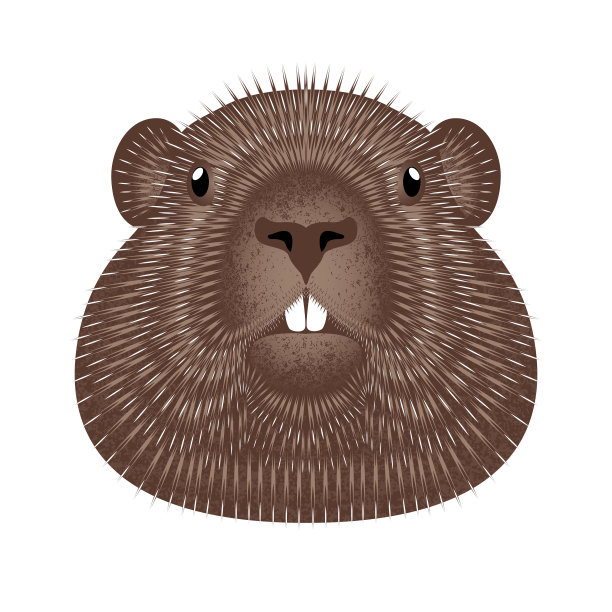 土拨鼠日概念在美国的国定假日图片下载