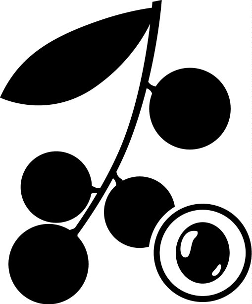 龙眼水果图片图片下载