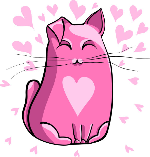 粉色的猫图片下载