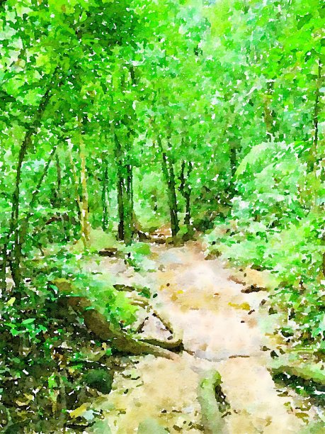 水彩画的方式在森林图片下载