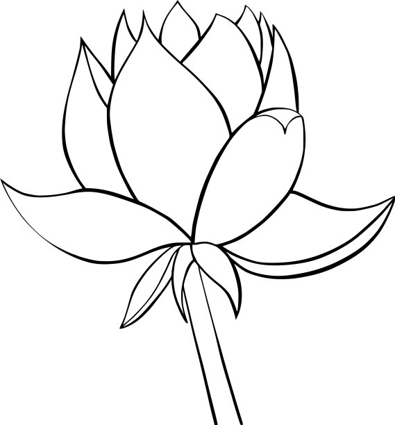 莲子百合水图片下载