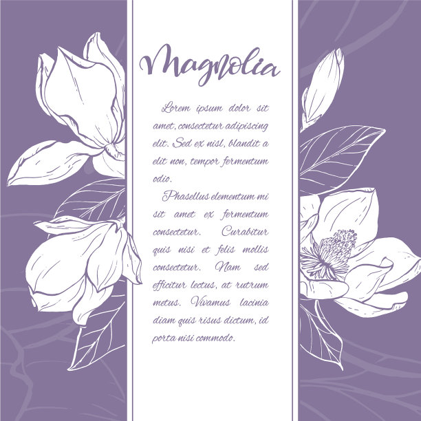 速写木兰花线形开花图片下载